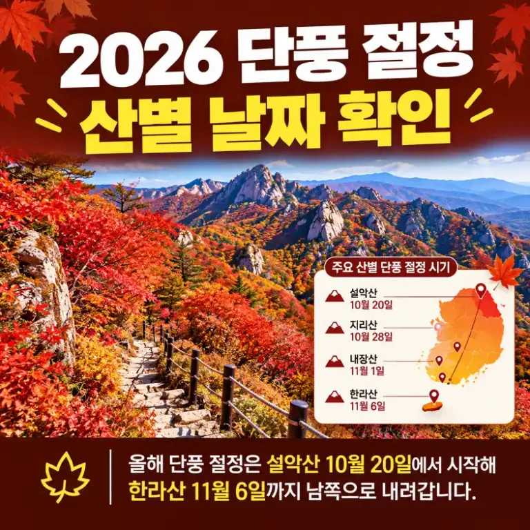 2026 단풍 절정 시기에 붉게 물든 산 능선과 가을 등산로