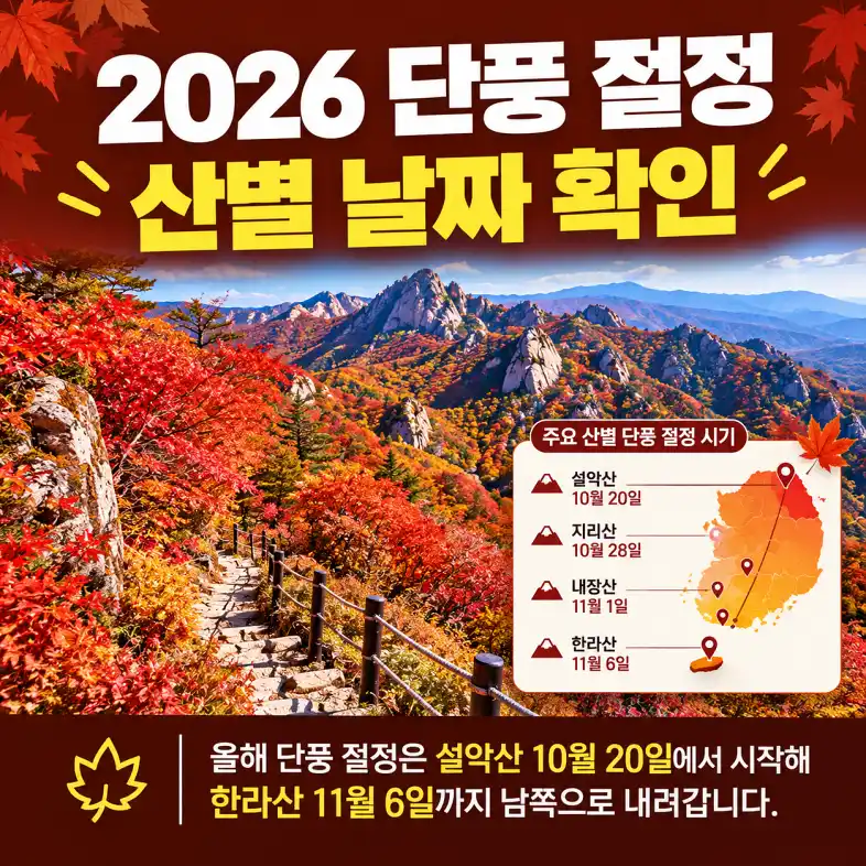 2026 단풍 절정 시기에 붉게 물든 산 능선과 가을 등산로