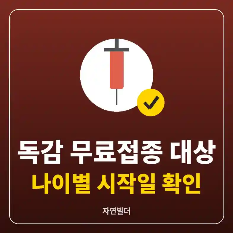 독감 예방접종 무료 대상을 나타내는 주사기와 확인 표시 그림