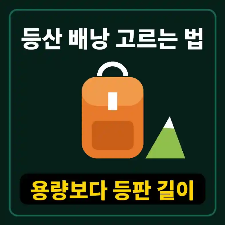 등산 배낭 고르는 법에 따라 매장에서 배낭 허리벨트를 골반에 맞춰 착용해 보는 등산객