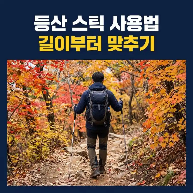 등산 스틱 사용법대로 스틱 두 개를 먼저 짚으며 가을 내리막 등산로를 내려가는 등산객